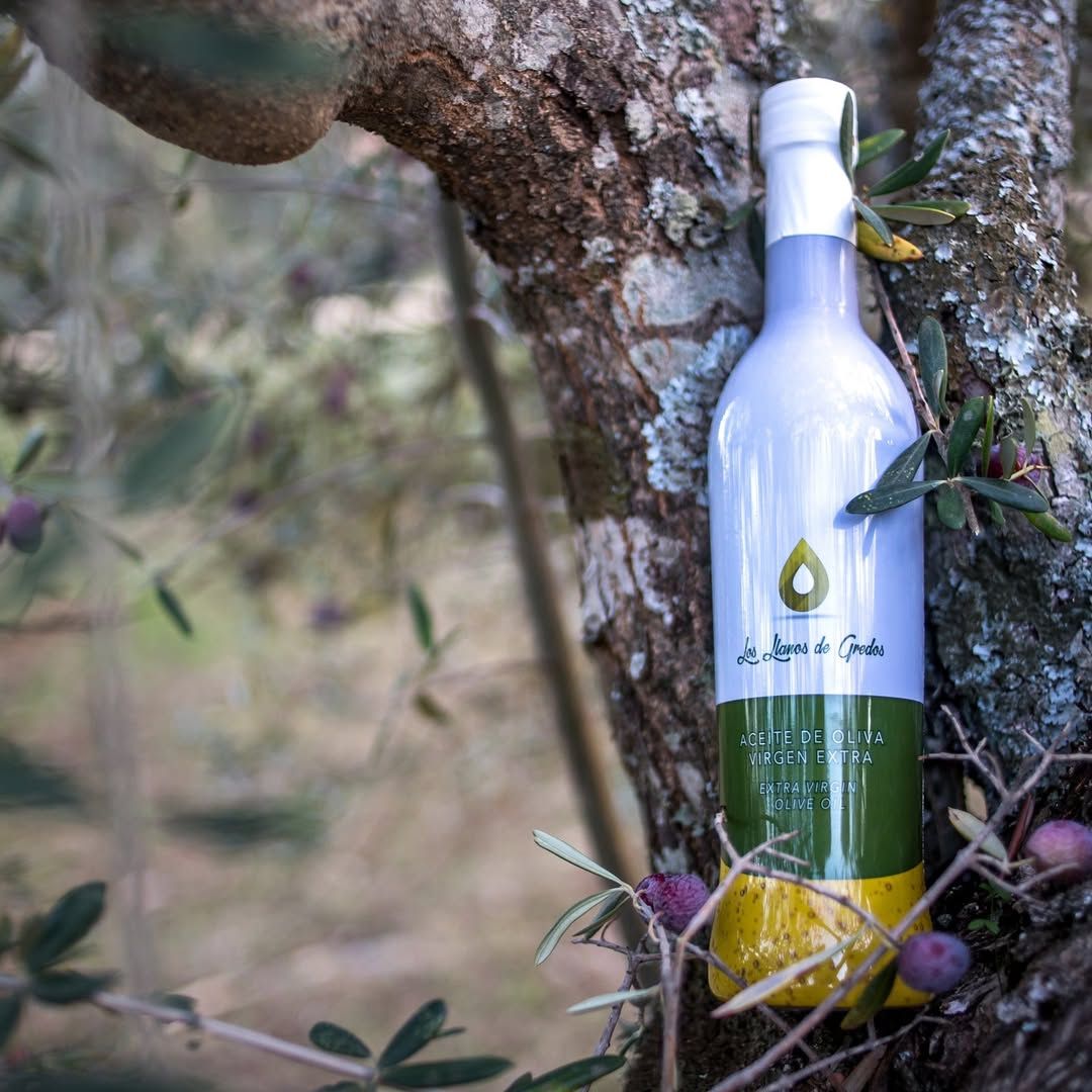 aceite valle del tietar